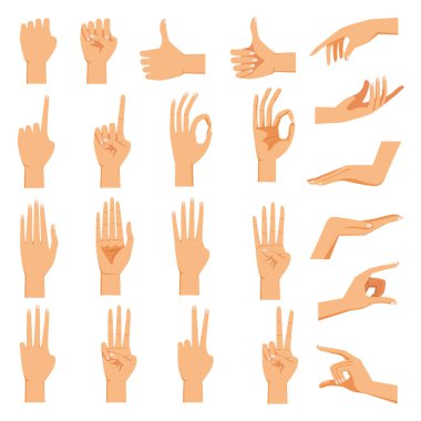 Kadın eli farklı jestlerdeki eller avuç içi, el arkası, görüntü ve işaretler birden ona kadar beyaz arkaplan izole vektör ilüstrasyonunda