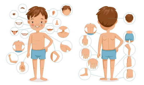 Chico Cuerpo Vista Frontal Vista Trasera Niños Con Diferentes Partes — Vector de stock