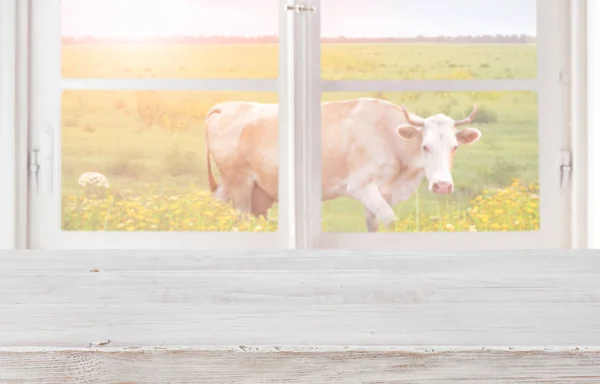 Wooden table in front of window with meadow and cow