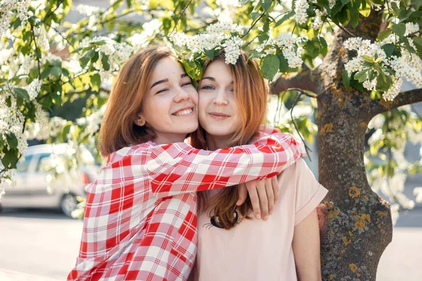 Две Сестры Обнимаются Цветущей Вишней — стоковое фото