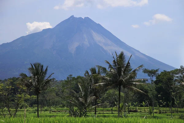 Merapi Volkanı manzara, Java, Endonezya. Merapi Volkanı görünümünü