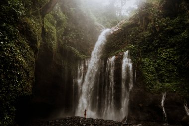 Kız Bali 'de bir ormanda muhteşem bir şelalenin tadını çıkarıyor.