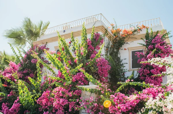 Bodrum oldcity mimarisi