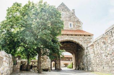 Budapeşte turist Gezgin resim