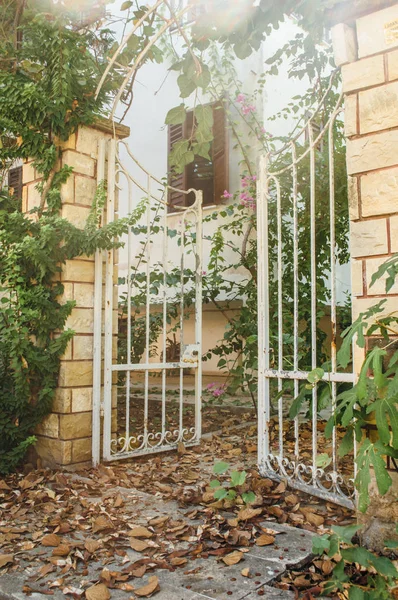 Yaz deniz Aegean Maceraları