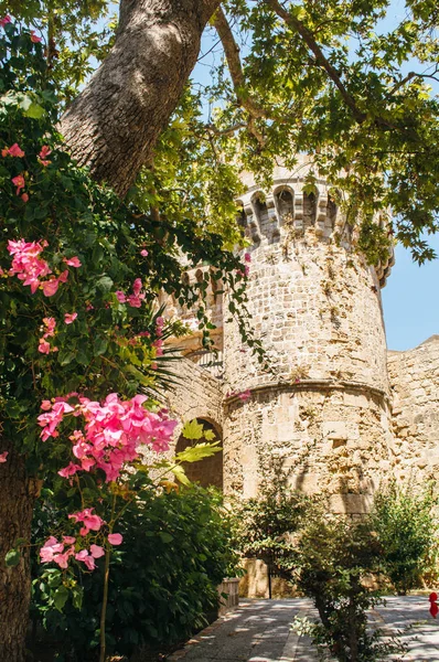 Yaz deniz Aegean Maceraları