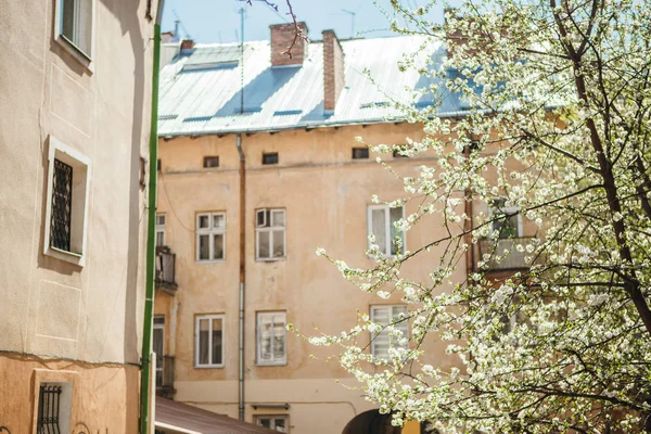 Lviv Turismo Ciudad Vieja — Foto de Stock