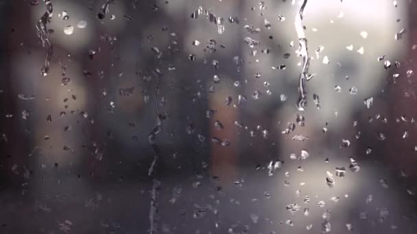 Gotas de lluvia sobre vidrio — Vídeo de stock