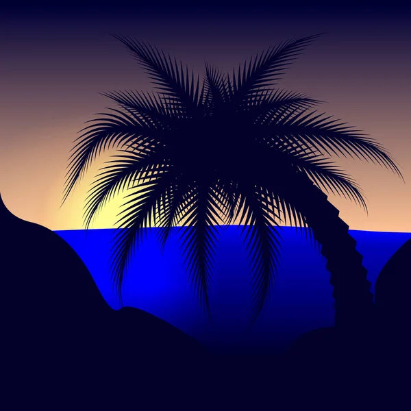 Palm tree at sunset — Stock Vector