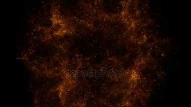 Köknar e sparks