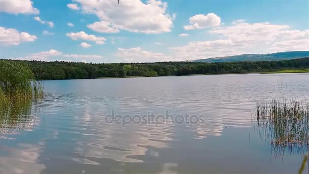 Beautifu l lake — Stock Video