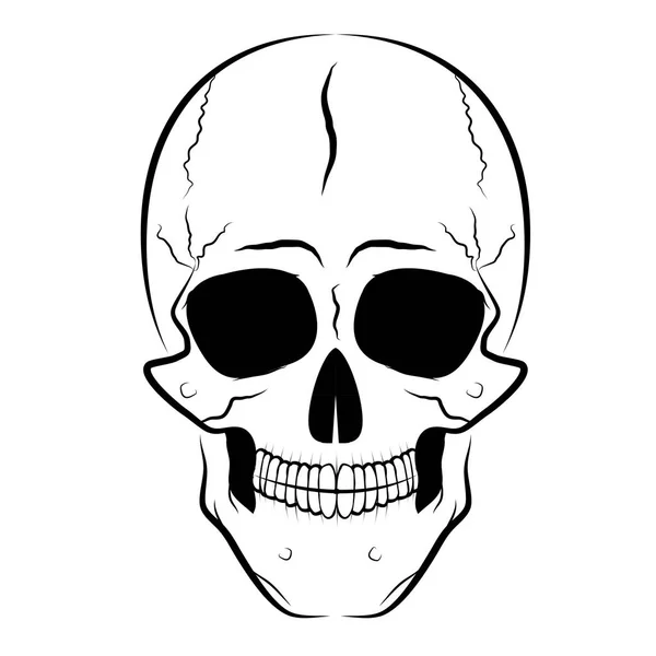 Silhouet van menselijke schedel — Stockvector