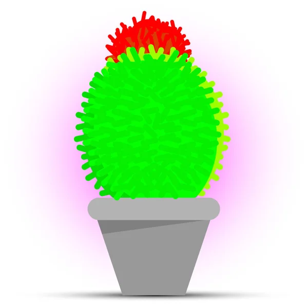 Cactus en una olla — Vector de stock