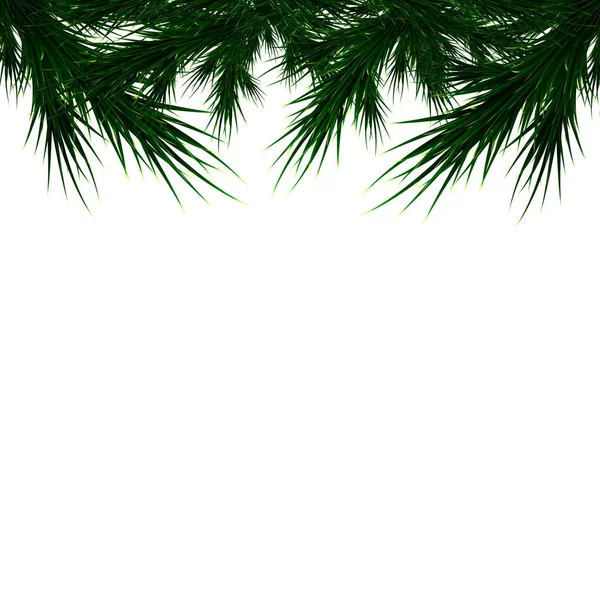Takken van een kerstboom op een witte achtergrond — Stockvector