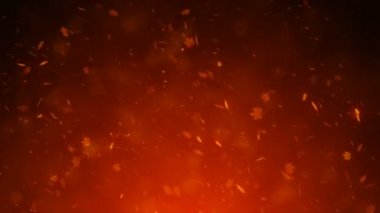 Yapraklı şenlikli sonbahar bokeh arkaplanı, sanat videosu illüstrasyonu.