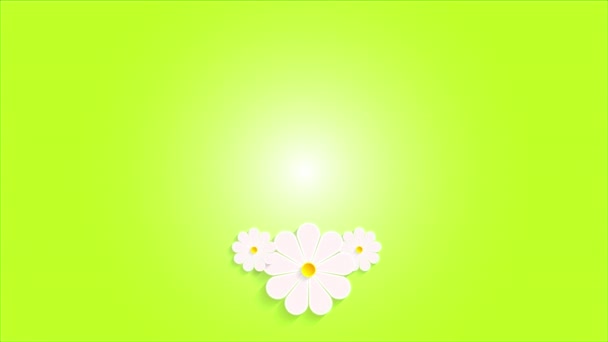 Three Easter Eggs Daisies Art Video Illustration — Stock Video