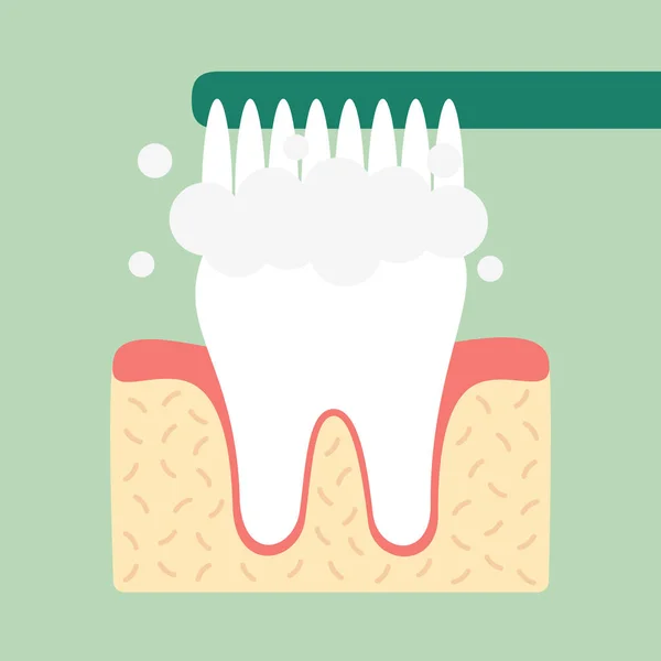 Zahnbürste ist Zähneputzen — Stockvektor