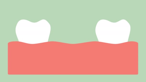 Primer Diente Dientes Bebé Vector Dibujos Animados Dentales Estilo Plano — Vídeo de stock