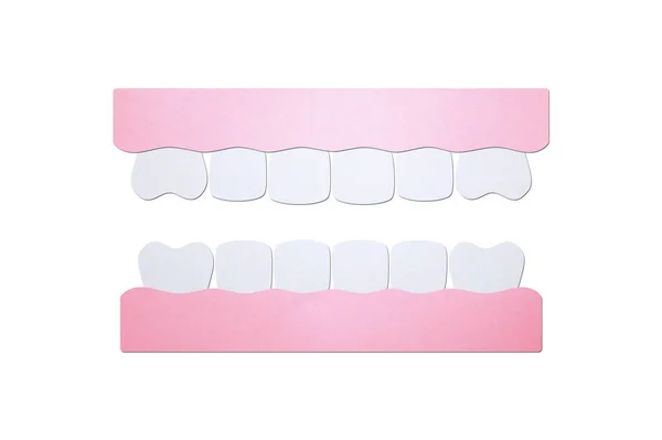Modelo dente de dentes saudáveis — Fotografia de Stock