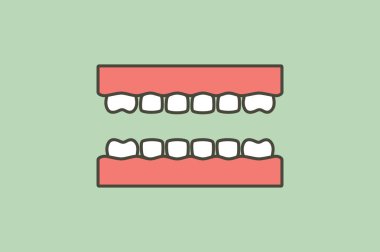 Sağlıklı dişlerin model dişleri - Dişçi çizgi film vektörü düz stil dizayn için sevimli karakter