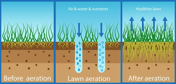 Aireación Del Césped Enriquecimiento Con Agua Oxigenada Nutrientes Para Mejorar — Archivo Imágenes Vectoriales