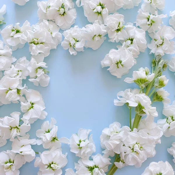 Kwiatowa Okrągła Ramka Wykonana Małych Białych Kwiatów Matthiola Romantyczne Niebieskie — Zdjęcie stockowe