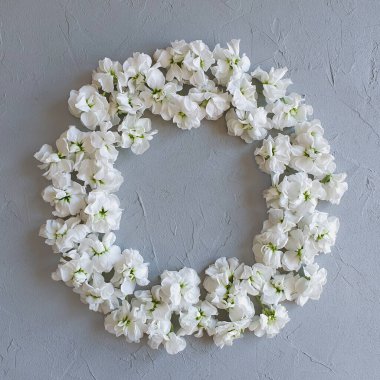 Gri beton arka planda küçük beyaz çiçekler. Çiçek çerçevesi. Kozmetik ürününüzün yeri burası. Temelde bir tebrik kartı. Yukarıdan görüntüle.