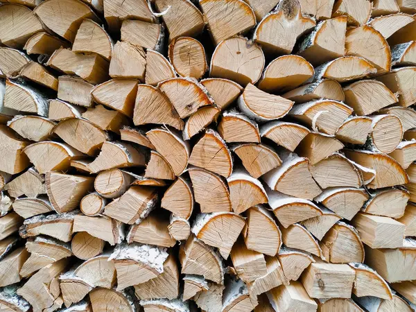堆放的柴火 堆栈自然锯木原木背景 — 图库照片