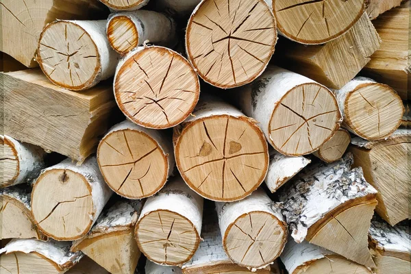 木制纹理圆形环带条纹 木堆的背景 生活方式 — 图库照片
