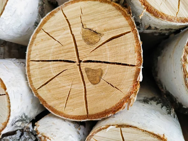 剪碎的桦木圆木特写 带条纹的木制纹理圆环 — 图库照片