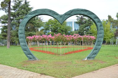 Parktaki çiçek tarhı