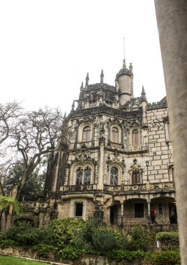 Doğal parktaki eski saray Sintra, Portekiz, Quinta da Regaleira, ağaç ve natura