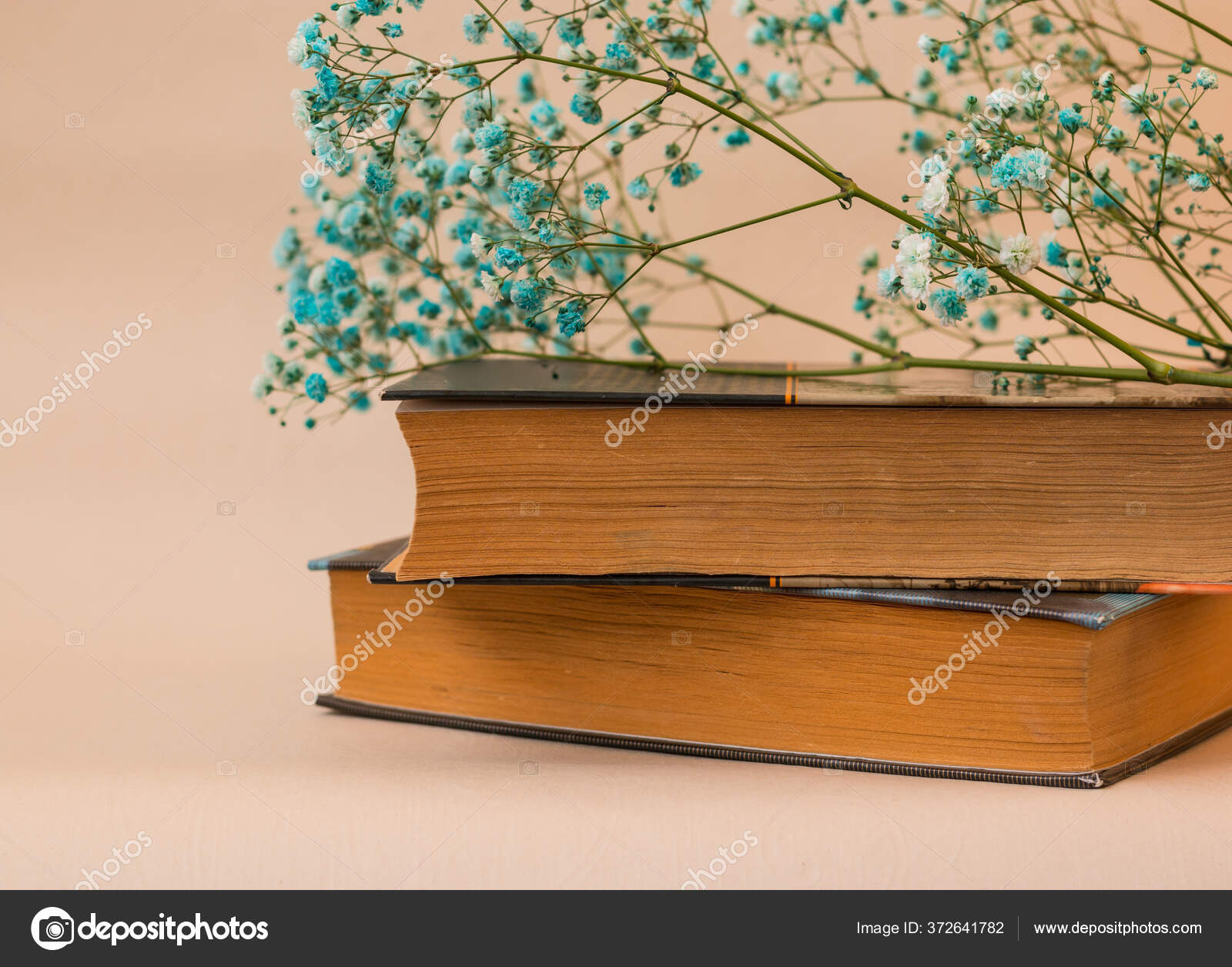 Деревянная Ветка Голубыми Маленькими Цветами Лежит Стопке Книг.