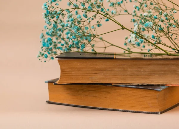 Wooden Branch Blue Small Flowers Lies Stack Books Light Background — Stock Photo, Image