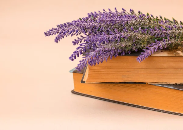 Branch Lilac Lies Stack Books Light Background Side View Space — Stock Photo, Image