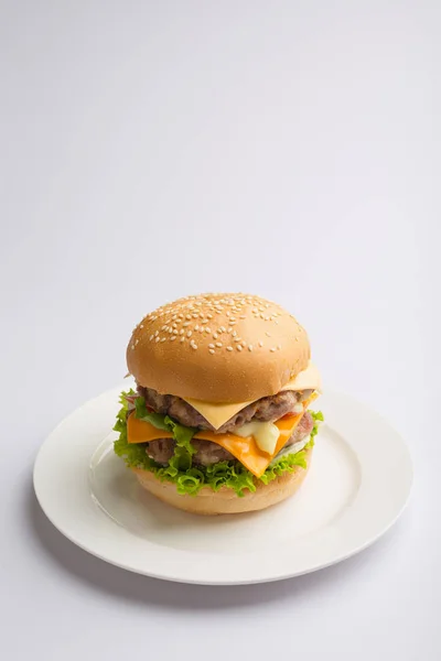 Delicious homemade hamburger — Stock Photo, Image