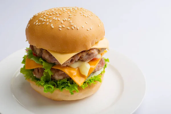 Delicious homemade hamburger — Stock Photo, Image