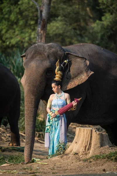 Thai girl with elephant — Stock Photo, Image