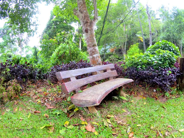 Stone bench in colorful nature surrounded by plants, trees, leaves and grass