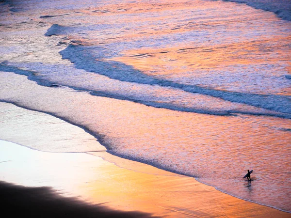 Surfero Ando Mientras Atardece Playa — Stockfoto