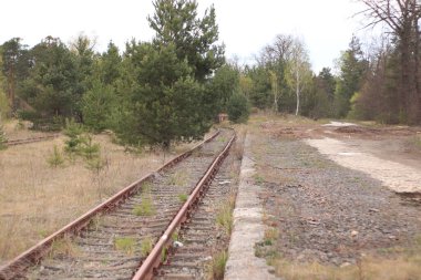 Yıldızlı peron kolejowy w lesie