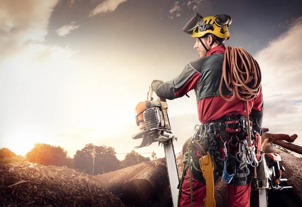 Lumberjack with chainsaw — Stock Photo, Image