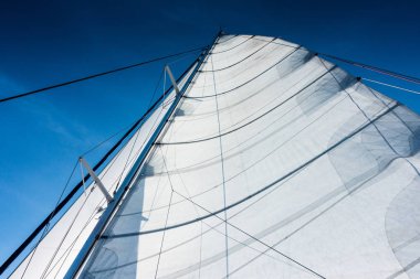 Yat katamaran Yelken denizde yelken. Yelkenli. Yelken.