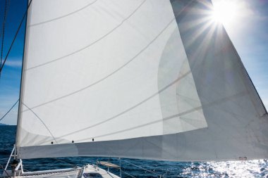 Yat katamaran Yelken denizde yelken. Yelkenli. Yelken.