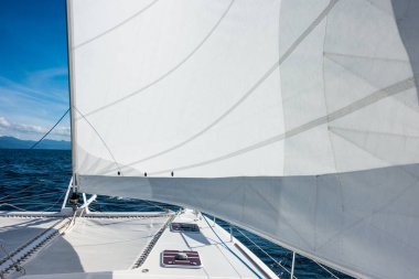Yat katamaran Yelken denizde yelken. Yelkenli. Yelken.