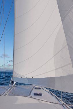 Yat katamaran Yelken denizde yelken. Yelkenli. Yelken.