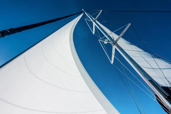 Вітрильна яхта катамарана, що пливе в морі. Вітрильник. Вітрильний спорт . — стокове фото