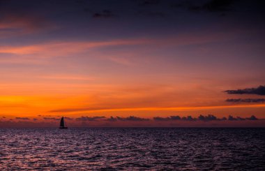 Yat katamaran Yelken denizde yelken. Yelkenli. Yelken.