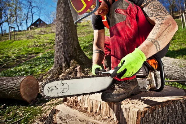 Lumberjack with chainsaw — Stock Photo, Image