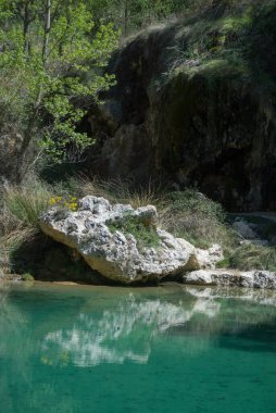 Arka plan manzarasını yansıtan küçük bir yay. Ağaçlarla ve doğayla kaplı bir kaya ve yeşil manzara var..